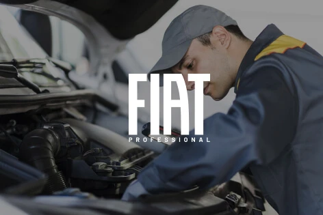 fiat professional servicing