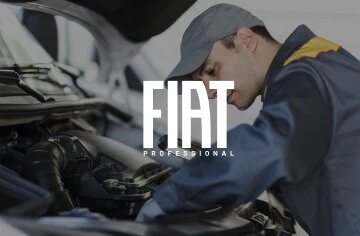 fiat pro servicing image